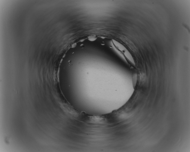 X0000091350380200708241253