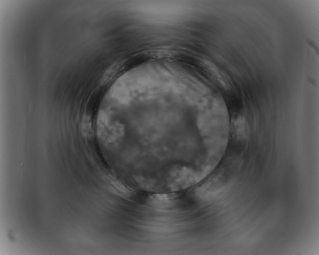 X0000091350381200708241253