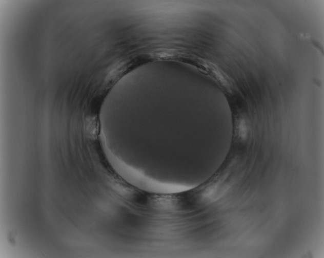 X0000091350383200708241253