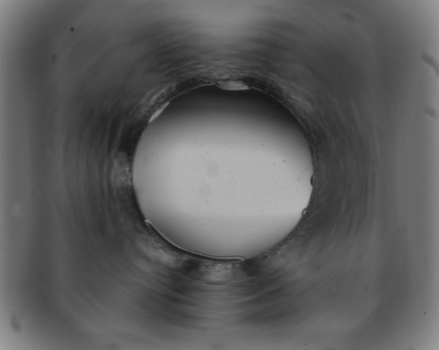 X0000091350384200708241253