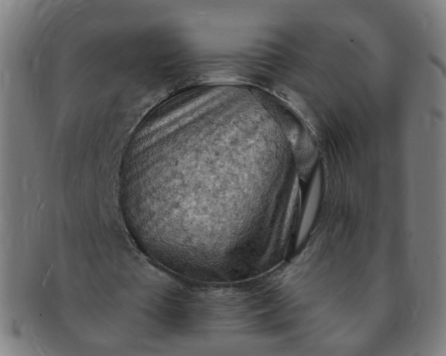 X0000091350385200708241252