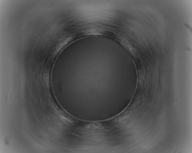 X0000091350386200708241252