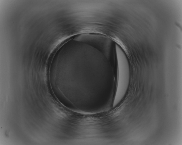 X0000091350387200708241252