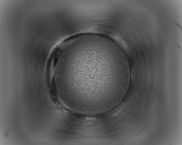 X0000091350388200708241252