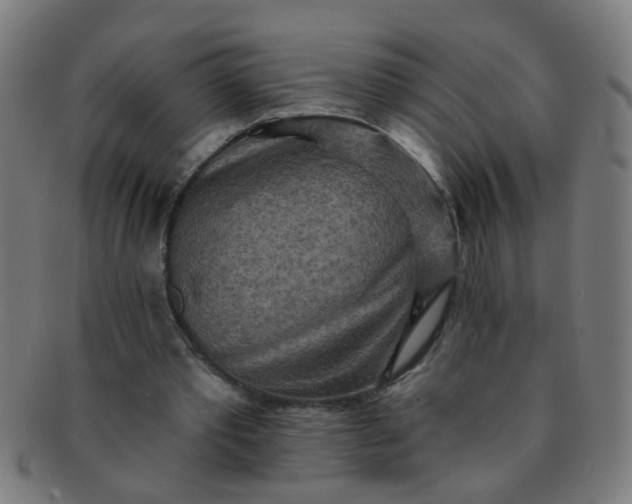 X0000091350389200708241252