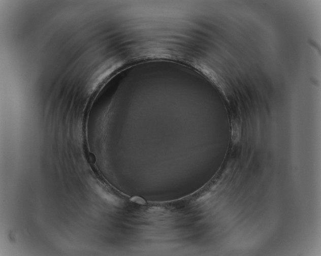 X0000091350390200708241252