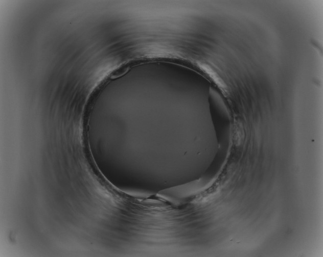 X0000091350391200708241252