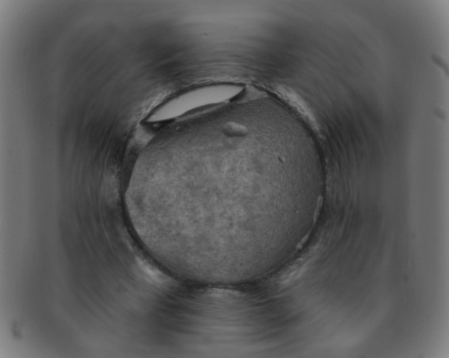 X0000091350393200708241252