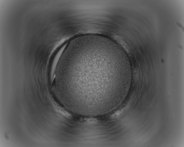 X0000091350395200708241252