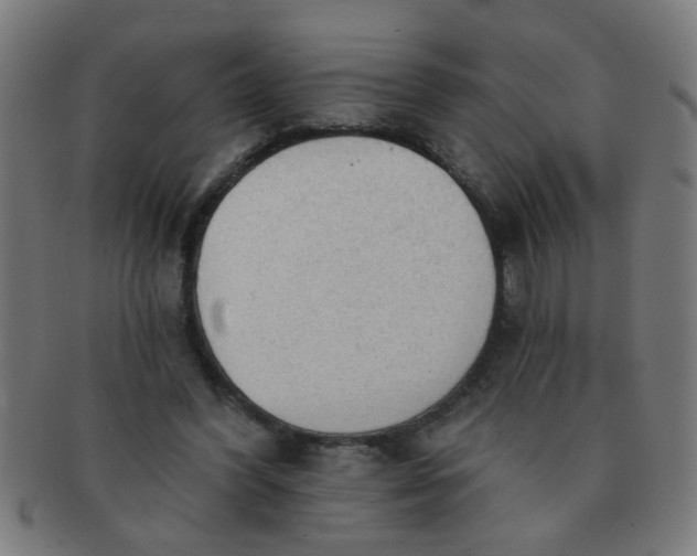 X0000091350396200708241252
