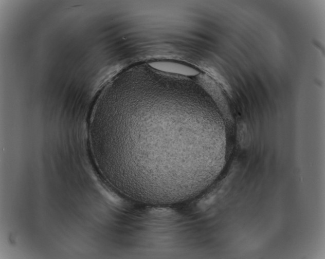 X0000091350397200708241252