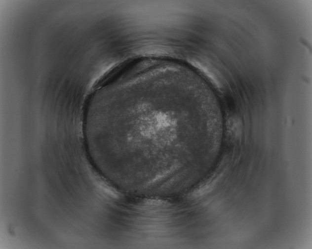 X0000091350399200708241251