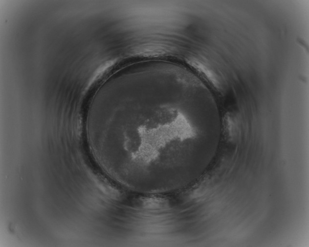 X0000091350400200708241251