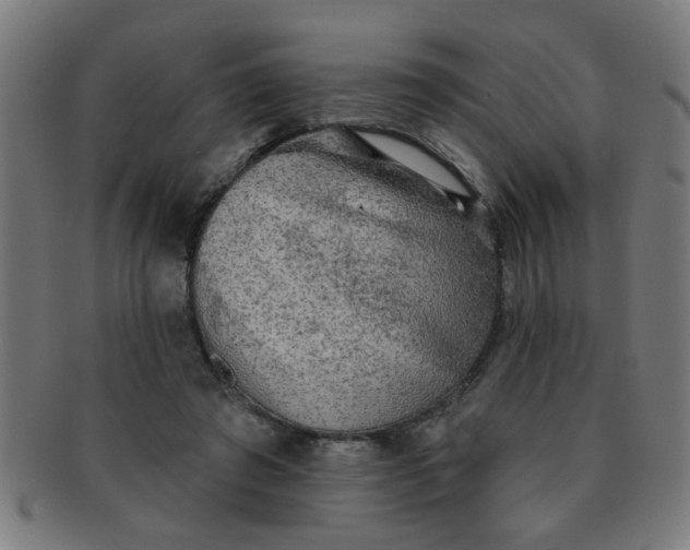 X0000091350401200708241251