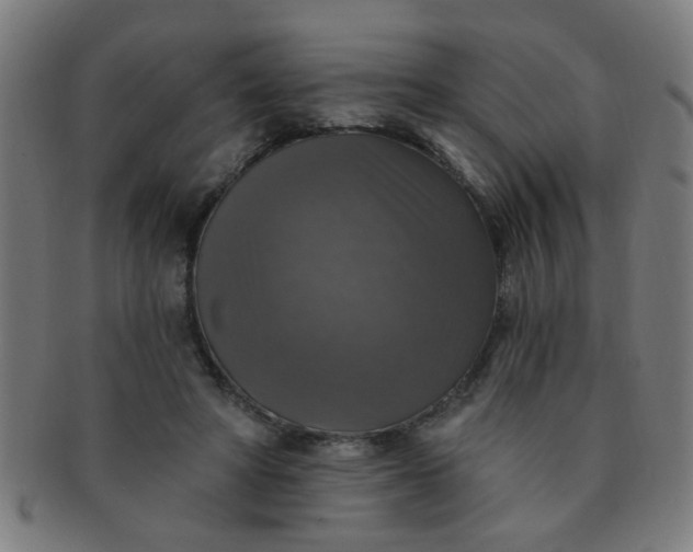 X0000091350402200708241251