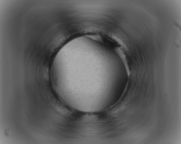 X0000091350403200708241251