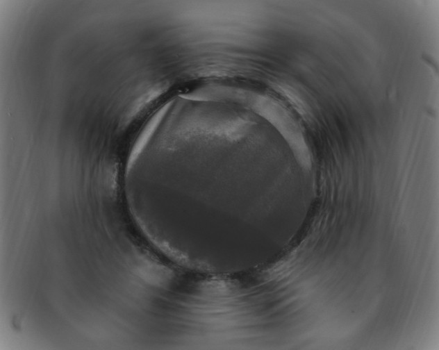 X0000091350404200708241251