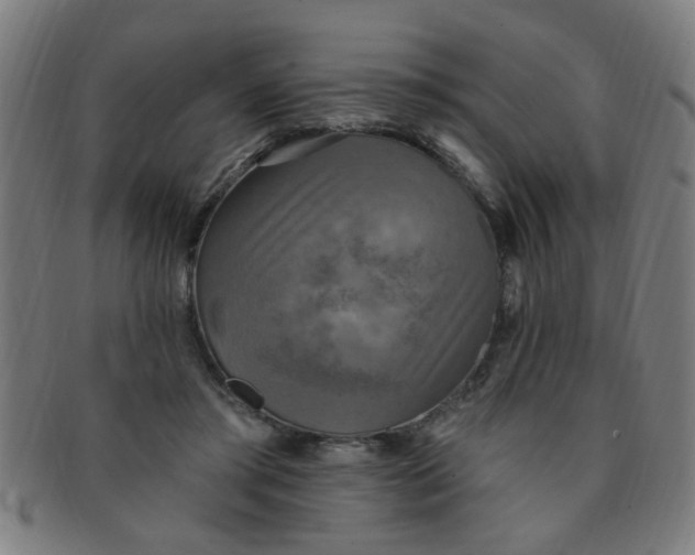 X0000091350405200708241251