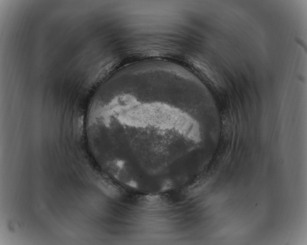 X0000091350406200708241251