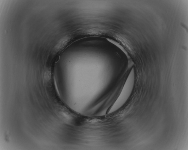 X0000091350407200708241251