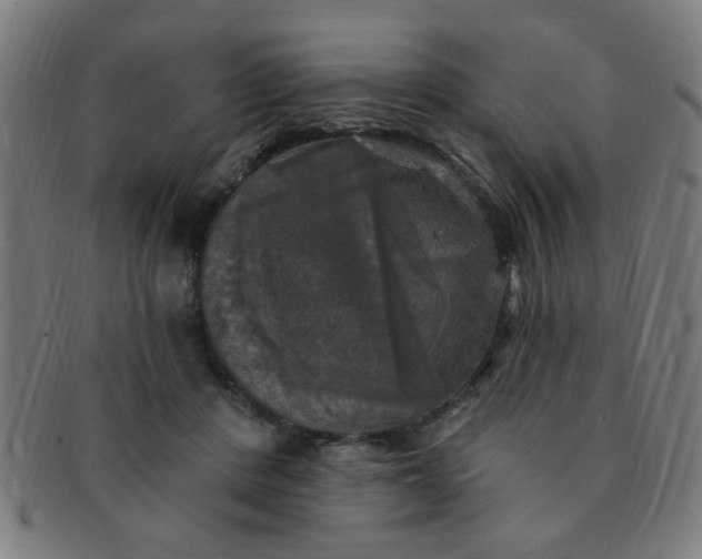 X0000091350408200708241251