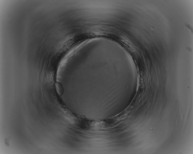 X0000091350410200708241251