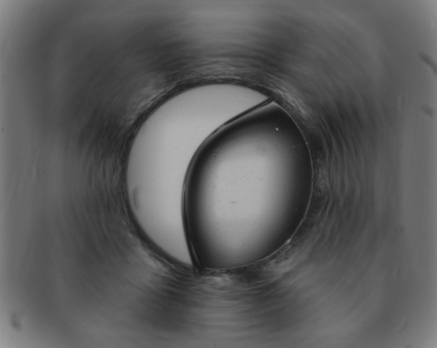 X0000091350411200708241251