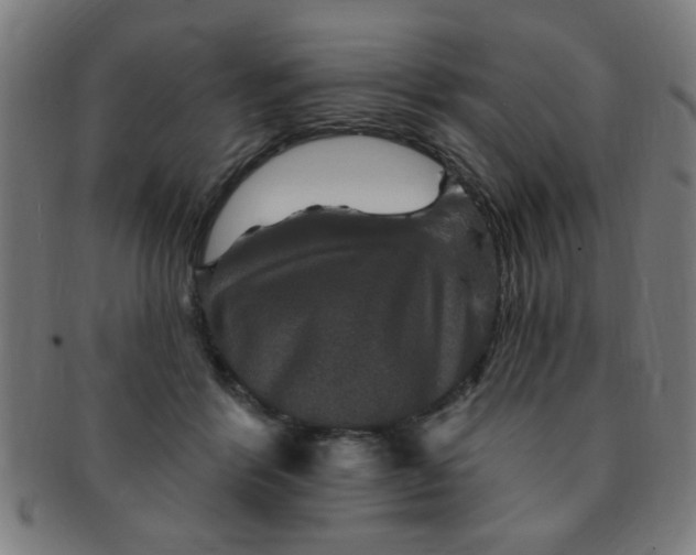 X0000091350412200708241251