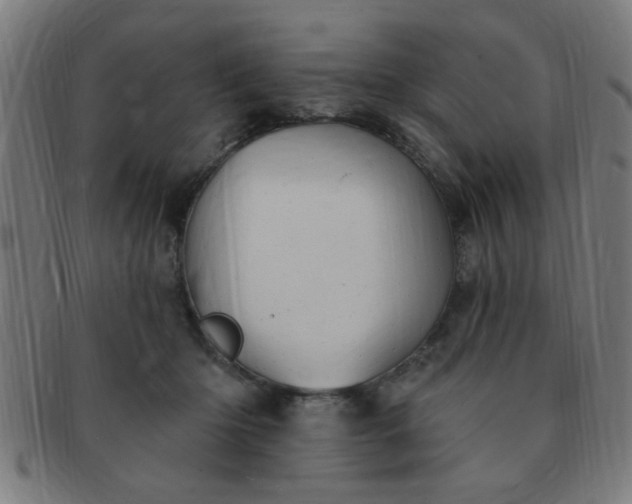X0000091350414200708241251
