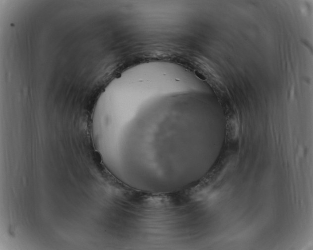 X0000091350415200708241251