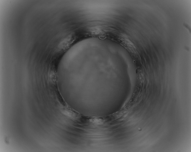 X0000091350419200708241251