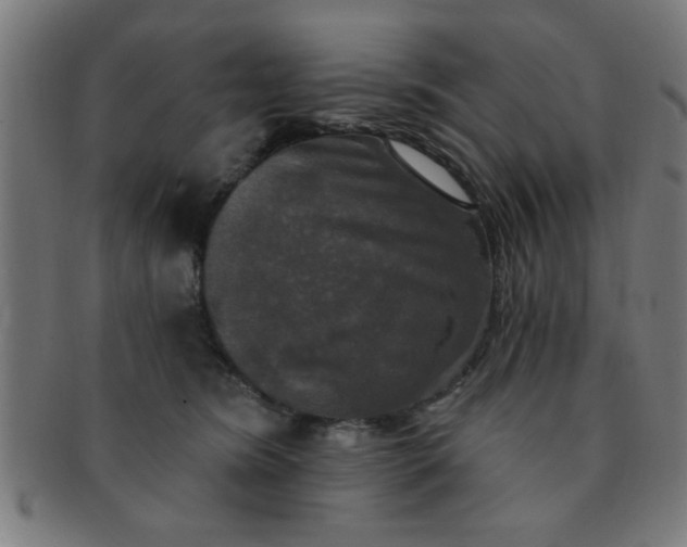 X0000091350420200708241251