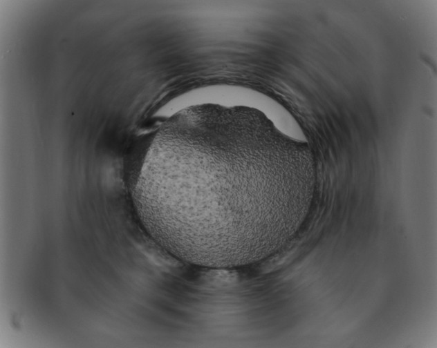 X0000091350421200708241251