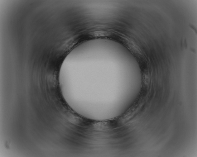 X0000091350422200708241251