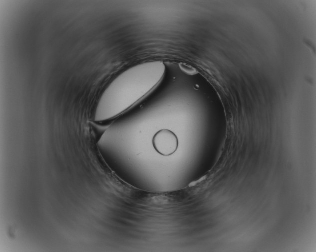 X0000091350423200708241251
