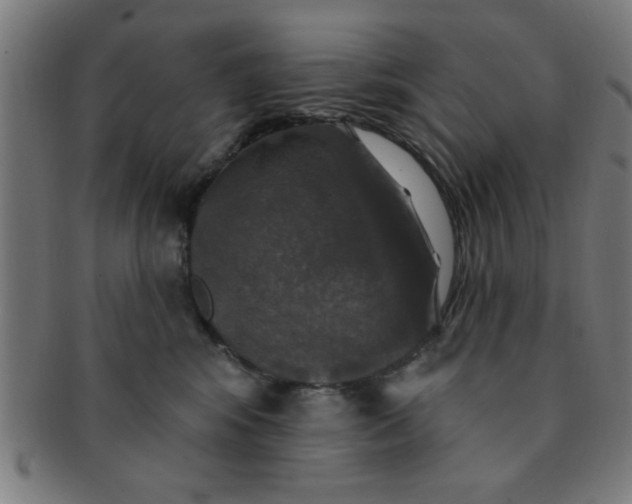 X0000091350424200708241251
