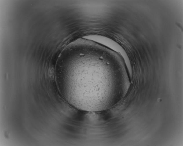 X0000091350425200708241251