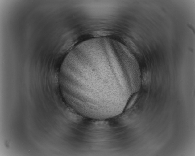 X0000091350426200708241251