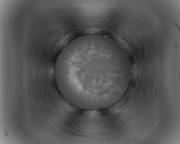 X0000091350427200708241251
