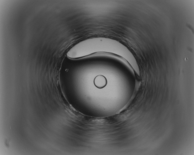 X0000091350428200708241251
