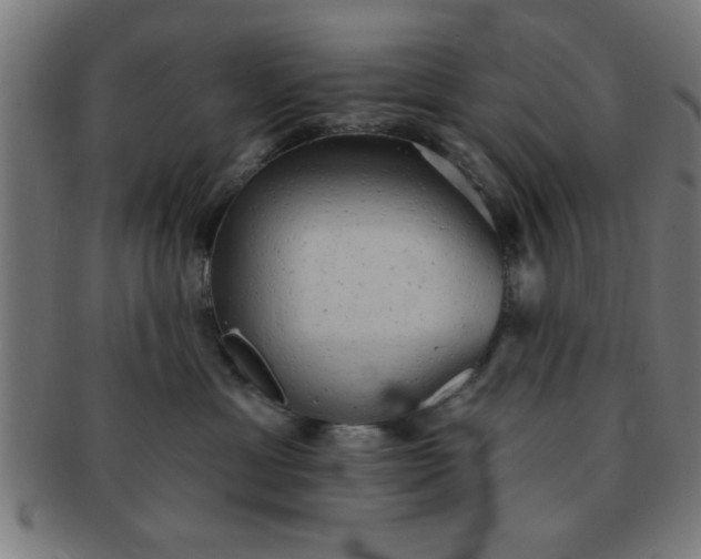 X0000091350429200708241251