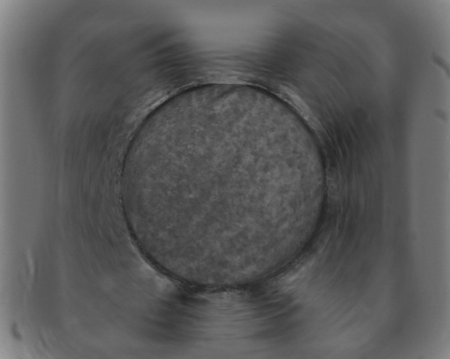 X0000091350433200708241250