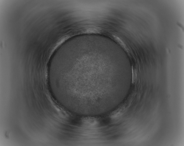 X0000091350435200708241250