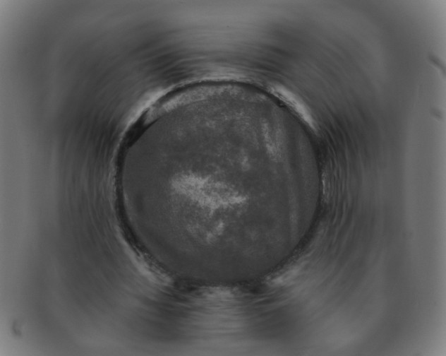 X0000091350436200708241250
