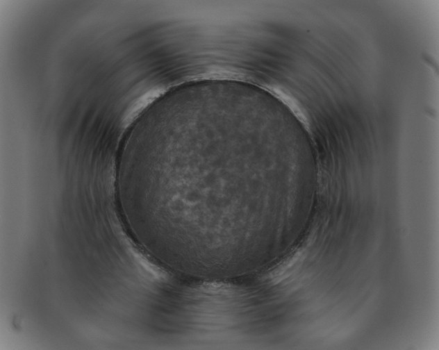 X0000091350437200708241250