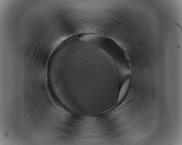 X0000091350438200708241250