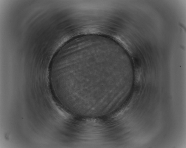 X0000091350439200708241250