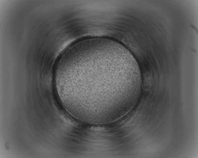 X0000091350440200708241250