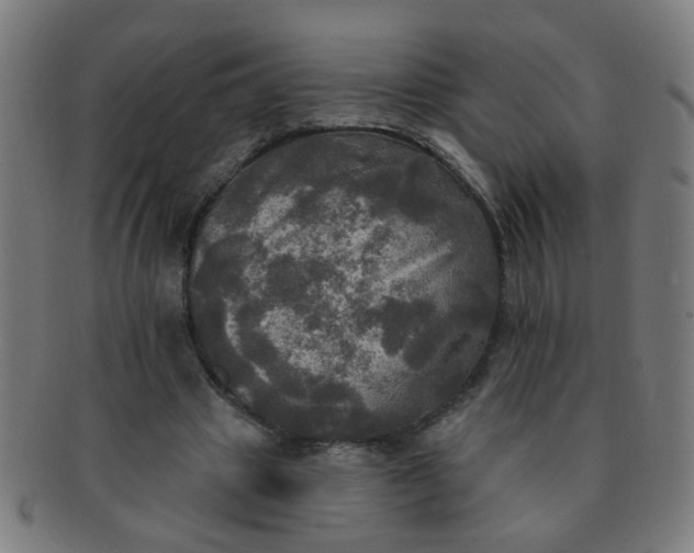 X0000091350441200708241250