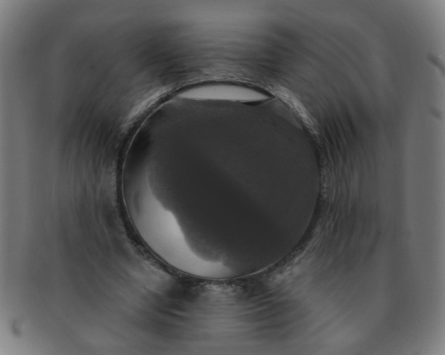 X0000091350442200708241250